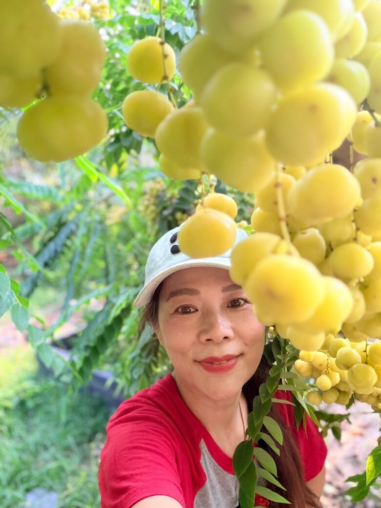 Chùm ruột kết thành từng dải dày đặc, che khuất cả lối đi bằng những quả nhỏ xinh có vị chua thanh mát lạnh. 