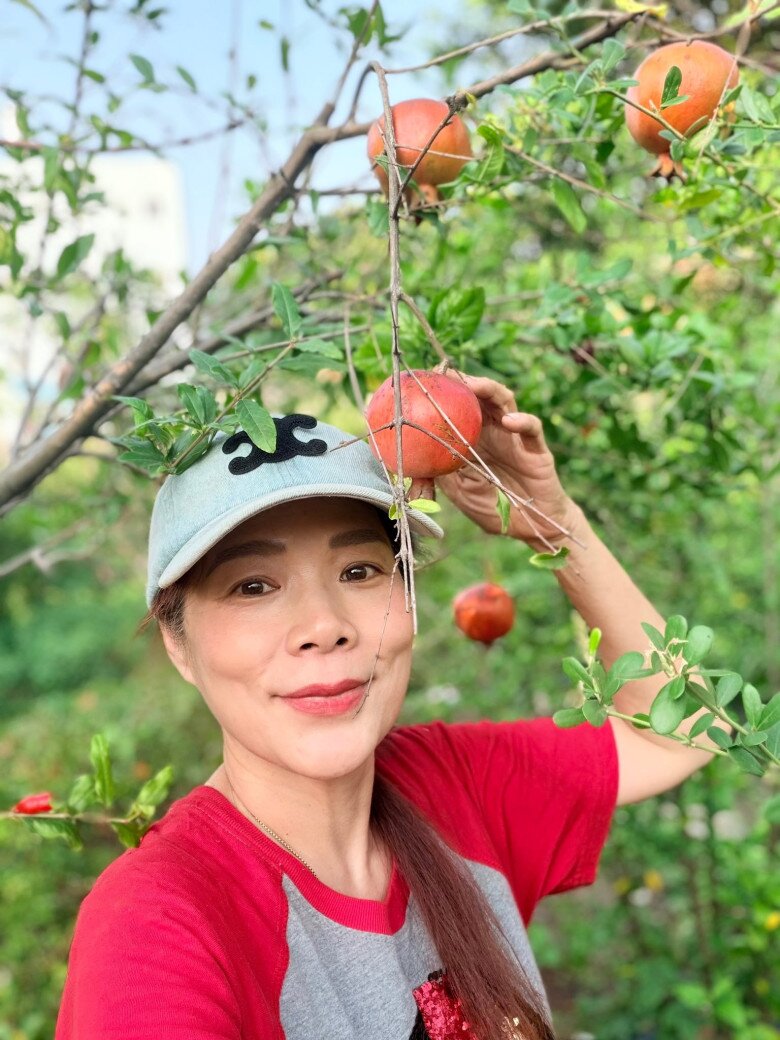 Lựu Ấn Độ đỏ rực như những chiếc đèn lồng nhỏ treo lơ lửng giữa nắng vàng, mang lại vẻ đẹp sinh động cho không gian xanh. Nữ ca sĩ luôn cảm thấy thư thái khi được ngắm nhìn sắc màu rực rỡ này mỗi buổi sớm mai.