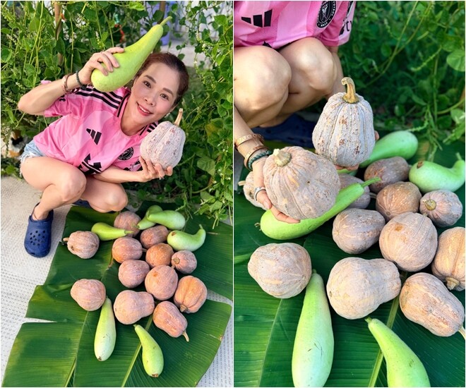 Điểm nhấn thú vị nhất trong đợt thu hoạch này chính là sự xuất hiện bất ngờ của giống bí hồ lô. Nữ ca sĩ chia sẻ, đây là lộc trời tự mọc trong vườn. Nhờ sự chăm chỉ tưới tắm và chăm sóc của chủ nhân, cây đã đền đáp bằng một mớ quả to bự, chắc nịch.
