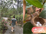 Nhà đẹp - Nhà vườn của "Vua nhạc đỏ" ở Thanh Hóa đúng kiểu đất lành chim làm tổ, dân mạng tấm tắc khen "quá tuyệt vời"