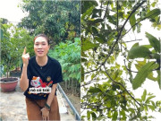 Nhà sao - Mỹ Tâm khoe trái chi chít trong "biệt phủ" ở Củ Chi, tâm sự với từng cái cây: "Cố lên nha con!"