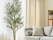 Nhà đẹp - 5 loại cây làm sang phòng khách: Đặt đúng giúp không gian trở nên sang trọng