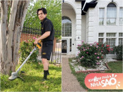 Nhà đẹp - Đan Trường sống độc thân trong cơ ngơi rộng: Dàn hoa hồng cao gần bằng người, cỏ mọc um tùm sau mấy tháng đi xa