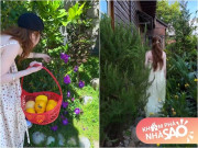 Nhà đẹp - Cận cảnh cơ ngơi đẹp như tranh của Elly Trần, người đẹp tự nhận là "phù thủy" sống độc thân trong ngôi nhà gỗ