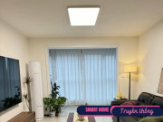 Tại sao ngày càng nhiều gia đình bỏ trần thạch cao? 3 thiết kế mới này vừa đẹp vừa thực tế hơn nhiều
