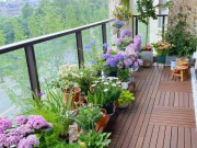Nhà đẹp - Mẹo chọn cây phong thủy trồng ngoài ban công xua xui rủi, hút tài lộc