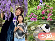 Nhà đẹp - Cơ ngơi nghỉ dưỡng xinh đẹp của MC Diễm Quỳnh tràn ngập hoa từ quen đến lạ, bé Gà sống trong "tuổi thơ màu lá"