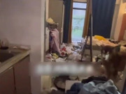Nhà đẹp - Nữ khách thuê rời đi, để lại căn hộ đầy rác cùng chó cưng