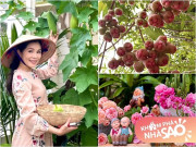 Nhà đẹp - Vợ đẹp giỏi giang của Quyền Linh khoe vườn sân thượng tuyệt đẹp, truyền tình yêu hoa hồng cho nữ ca sĩ nổi tiếng