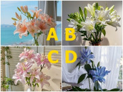 Yêu - Trắc nghiệm: Chọn một bình hoa ly để khám phá hôn nhân của bạn sẽ trải qua bao nhiêu thử thách