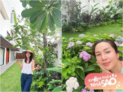 Nhà đẹp - Vừa về biệt thự hoành tráng chưa tân gia, cặp đôi nổi tiếng showbiz đã thu hoạch trái bự, cẩm tú cầu ngập lối