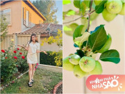 Nhà đẹp - Ngôi nhà ngập tràn hoa trái của diễn viên Diệu Hương, đào - táo ngon ngọt sai lúc lỉu đến mùa thu hoạch