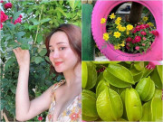 Nhà đẹp - Giữa thời tiết nóng như đổ lửa, Vy Oanh khoe khu vườn xanh mát tại cơ ngơi nghìn m2, thu hoạch trái cả rổ đầy