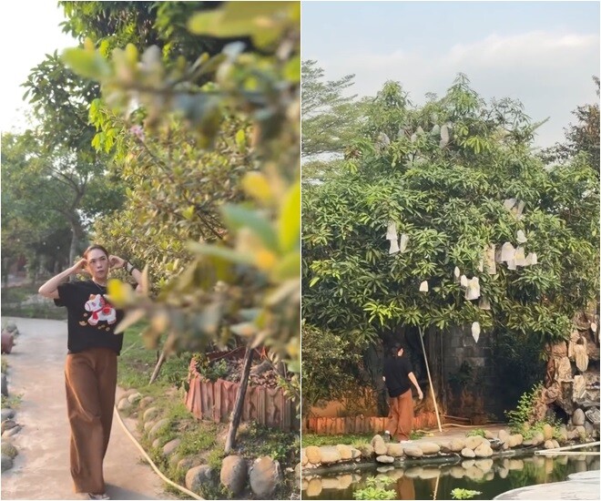 Những lời thủ thỉ của Mỹ Tâm với từng cái cây cho thấy cô vô cùng yêu cây cối cũng như dành nhiều tâm huyết cho khu vườn của mình. Người hâm mộ cũng thấy được một Mỹ Tâm rất gần gũi, yêu thiên nhiên phía sau những khoảnh khắc trên sân khấu.