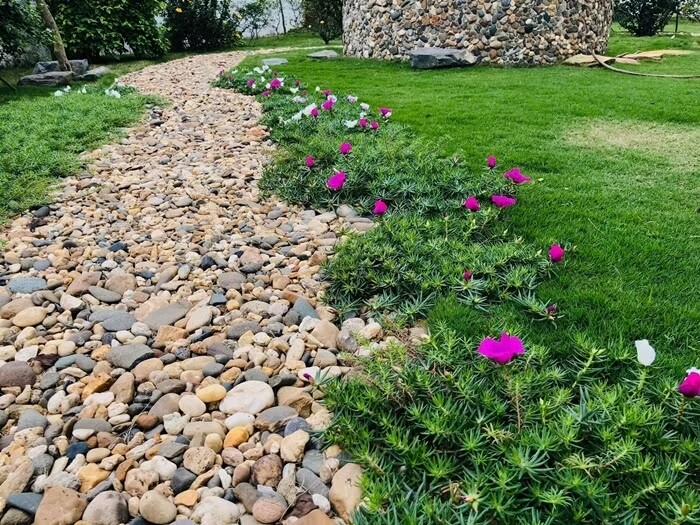 Pebble path along the house
