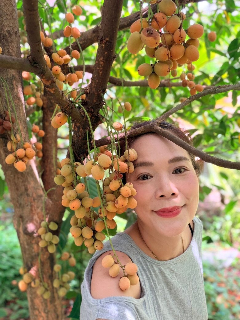 Những chùm dâu da đất mang sắc vàng cam ấm áp mọc san sát dọc theo cành củi, tạo nên một điểm nhấn thị giác vô cùng ấn tượng trong khuôn viên.