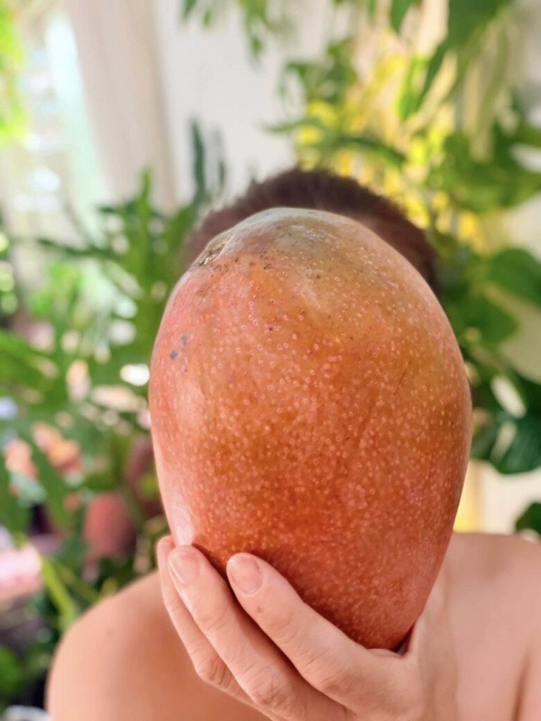 Có thể thấy, đằng sau ánh đèn sân khấu hào nhoáng, cuộc sống của ca sĩ Mỹ Lệ lại gắn liền với những điều giản dị, mộc mạc nhưng vô cùng xa xỉ mà không phải ai cũng dễ dàng có được. Khu vườn cũng cho thấy tâm hồn yêu đời, thích tự do và trân trọng những giá trị tự nhiên của nữ ca sĩ.