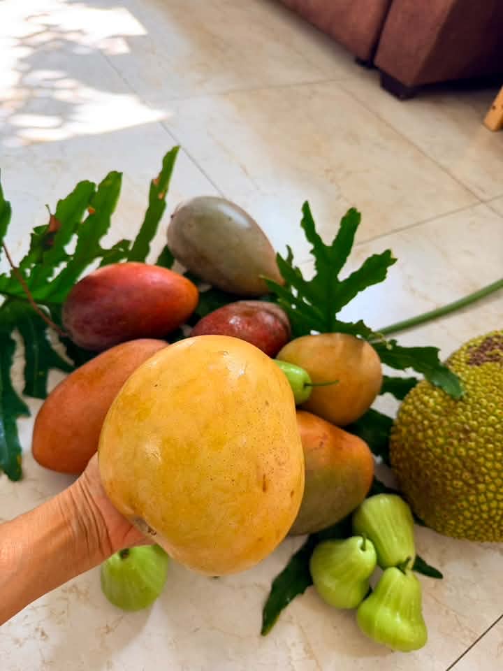 Có những dịp lễ khi nhà nhà đi chơi xa thì cô chui vào bụi cây tránh nóng. Khu vườn nhà trở thành nơi chữa lành thực thụ mà chẳng cần phải đi đâu.