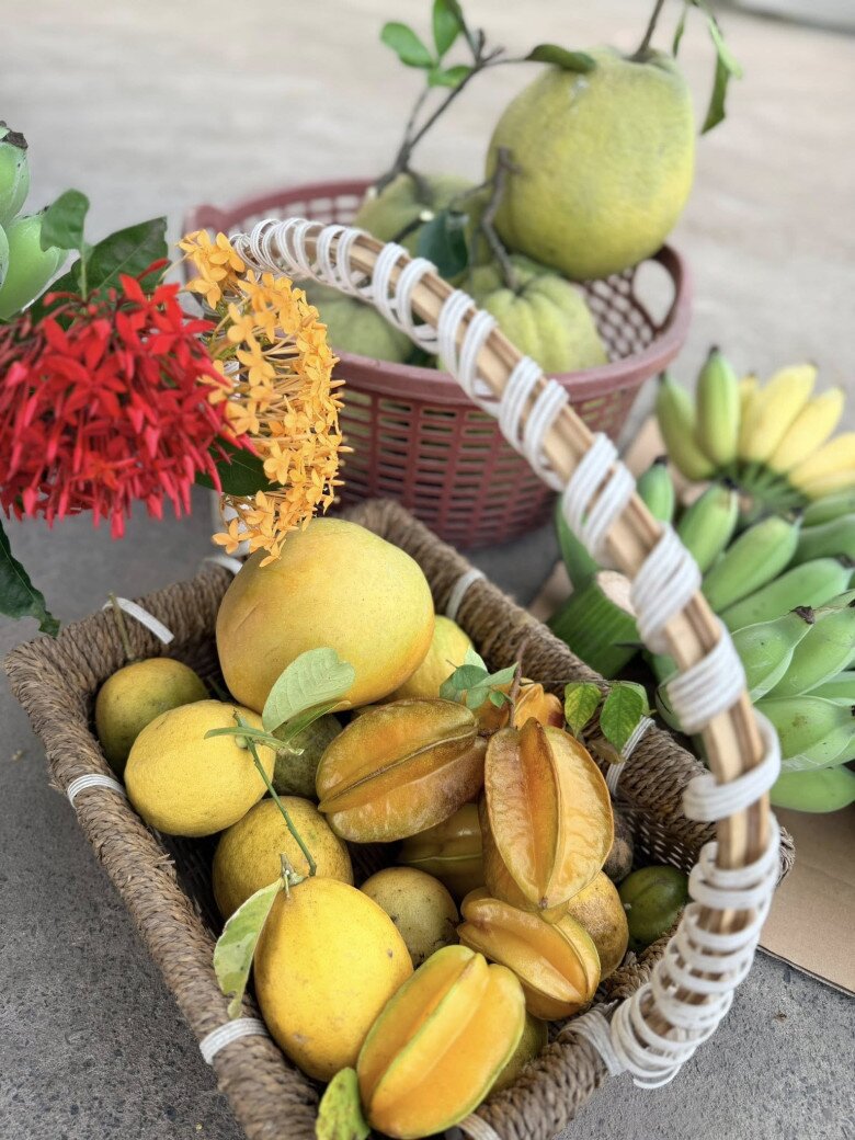 Cô ví von: Ví dụ trồng cây đến ngày cho quả chưa kịp ăn thì bị trộm nhảy vào bê hết, cũng như nhạc làm ra bị chiếm ngang nhiên cả bản quyền, rồi bị khai thác không được đồng nào, hỏi có đau không? So sánh để thấy ai mất cái gì cũng đau lắm!