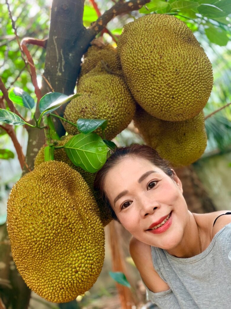 Cận cảnh gương mặt ngập tràn niềm vui của nữ ca sĩ bên những quả mít có kích thước khủng đang chen chúc nhau phát triển ngay trên thân cây mẹ.