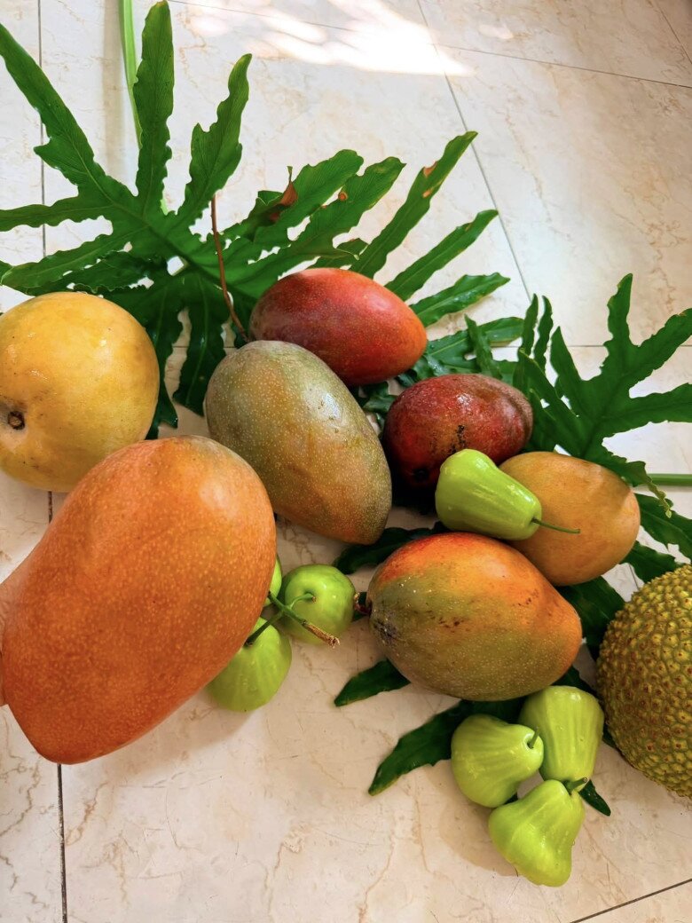 Nữ ca sĩ bày tỏ: Trồng cây không chỉ để ăn trái mà chủ yếu chỉ để ngắm trái lúc lỉu trên cành, núp trong tán cây để cảm nhận không khí trong lành mát mẻ, để thấy lòng mình thảnh thơi sau mỗi bộn bề lo toan, để thấy hồn nhiên vui mừng như trẻ nhỏ khi thu hoạch được mùa.
