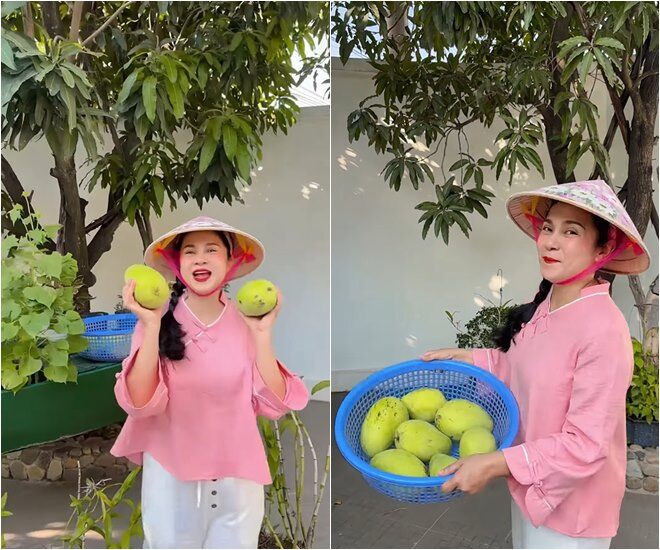 Diễn viên nổi tiếng tâm sự, cây xoài gắn liền với tuổi thơ của mình, cô thích nhìn hoa xoài, rồi ngắm những chum xoài lủng lẳng. Hồi bé, cô nhiều lần leo trèo lên cây để hái xoài.