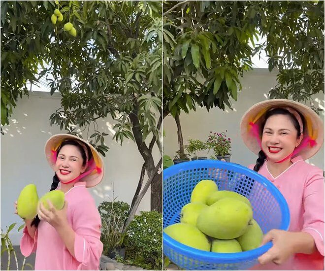 Việt Trinh thích thú nhảy múa bên rổ xoài toàn những trái to đùng mà cô vừa hái được trong vườn nhà. Cô dí dỏm rằng chúng to hơn cả mặt mình.