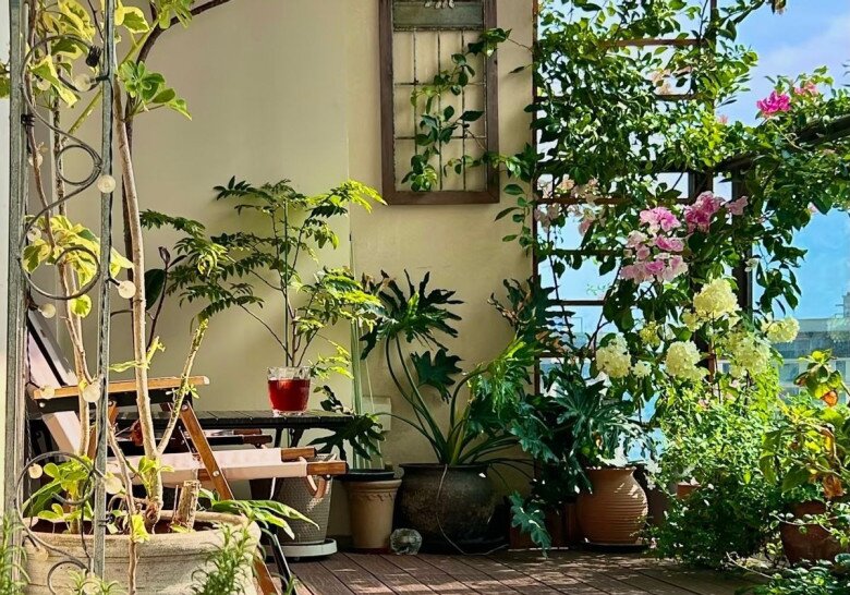 Rèm cửa lỗi thời rồi, ngày càng nhiều người bỏ hẳn và chuyển sang 4 thiết kế sang xịn này - 9