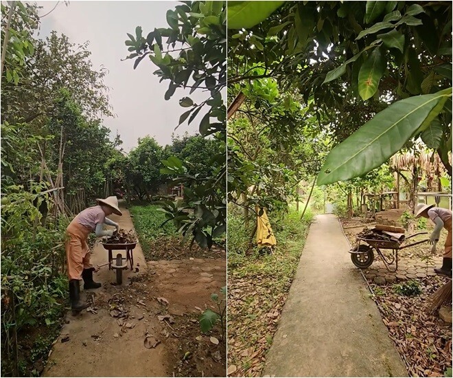 Không quản ngại nắng gắt hay bụi bặm, nữ nghệ sĩ miệt mài quét dọn lối đi, giữ cho không gian xanh luôn sạch sẽ và tươm tất. Sử dụng xe rùa chuyên dụng để vận chuyển rác thải thực vật, dì Tính thực hiện các công việc nặng nhọc một cách vô cùng thuần thục.