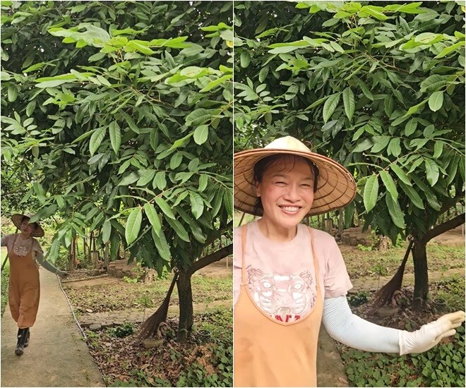 Nghệ sĩ U60 rất chăm chỉ trong việc duy trì vẻ đẹp thanh bình cho ngôi nhà vườn. Dưới bóng mát của những tán cây xanh tốt trong vườn nhà, nụ cười tươi tắn của Tú Oanh cho thấy tinh thần lạc quan, yêu đời và niềm say mê thực sự với công việc của một nông dân chính hiệu.
