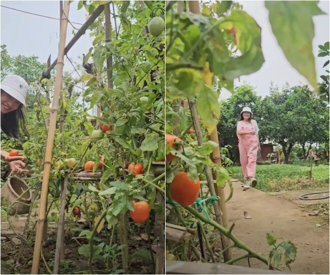 Khi hái cà chua, cô dí dỏm nhắc đến vai diễn của mình: Hôm nay dì Tính mượn được cái Mai quần yếm màu hồng để ra vườn thu hoạch cà chua đây! Cảm giác sướng nhất là lúc thu hoạch, mà cái quả này nó lại đẹp nữa.