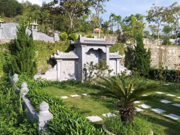 Cây xanh nào giúp mộ phần thêm phúc khí cho tổ tiên và con cháu?