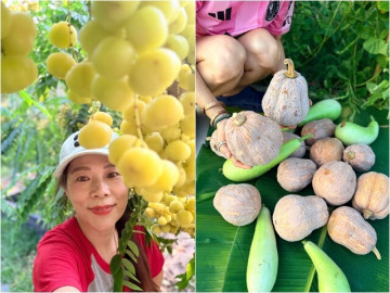 Mãn nhãn khu vườn "vàng ròng" của ca sĩ Mỹ Lệ: Bí hồ lô sai trĩu, đủ loại trái chín lủng lẳng khắp lối đi