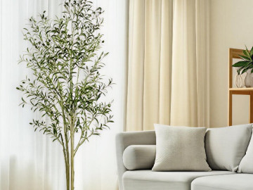 5 loại cây làm sang phòng khách: Đặt đúng giúp không gian trở nên sang trọng