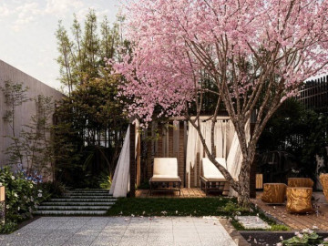 Người xưa dặn: Sân có một trong 11 cây này, nhà nghèo mấy cũng đổi vận, càng trồng càng tụ lộc, càng sống càng có phúc