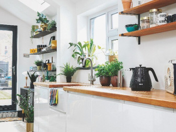 Bếp là “kho tài lộc” của gia đình, đặt ngay 1 trong 12 loại cây này để hút may mắn, tiền vào như nước!