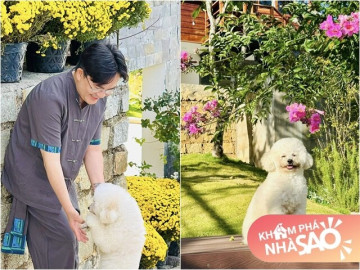 "Anh trai" U50 của showbiz Việt có cơ ngơi đẹp như mơ, cảnh cún cưng chạy quanh vườn đầy hoa làm nhiều người mê tít