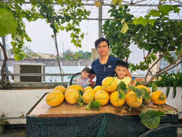 Gia đình ở Lâm Đồng làm vườn 72m2 trên sân thượng, ăn trái cây sạch quanh năm