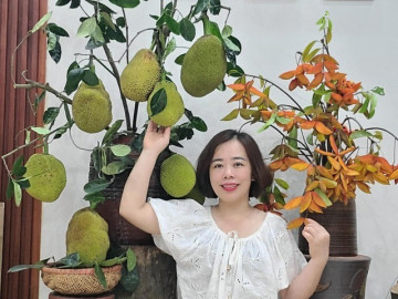 Mẹ đảm trổ tài cắm bình hoa "0 đồng", làm dịu căn nhà mùa nắng nóng