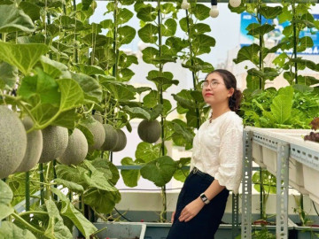 Mẹ đảm TPHCM biến sân thượng 30m2 thành vườn dưa lưới sai trĩu quả