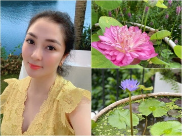 Hoa hậu Nguyễn Thị Huyền đích thị là "tay chơi sen" đáng nể: Nhiều giống hoa quý đua nhau bung nở trên tầng cao