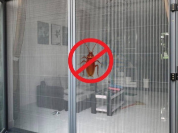 Diệt sạch gián chung cư chỉ sau một đêm bằng 4 cách này