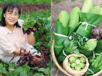 Nhà đẹp - 9X Hà Nội phủ xanh bãi đất trống, vài ngày lại bó rau tặng hàng xóm
