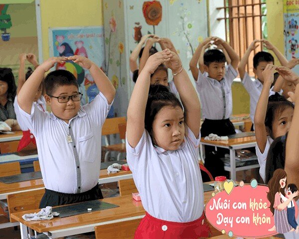 Theo khảo sát, chiều cao học sinh Tiểu học tại một số quốc gia thấp hơn tiêu chuẩn mà WHO đưa ra, trong đó có Việt Nam.