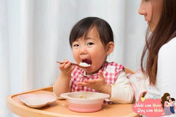 Dụng cụ ăn uống là đồ dùng hàng ngày của trẻ, bố mẹ nên chọn lựa những chất liệu tốt nhất.