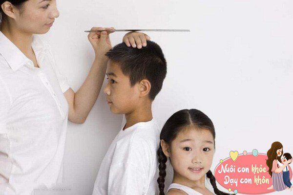 Theo một nghiên cứu trên Tạp chí Y học Dự phòng Trung Quốc (Tập 39, Số 5, 2005), tỷ lệ chiều cao của nam và nữ ảnh hưởng đến khả năng di truyền của thế hệ sau lần lượt là 0,89 và 0,87.