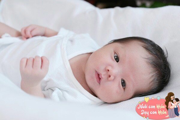 Theo quan niệm nhiều người th&ocirc;ng qua đ&ocirc;i mắt c&oacute; thể nhận biết được phần n&agrave;o tr&iacute; th&ocirc;ng minh của trẻ. 