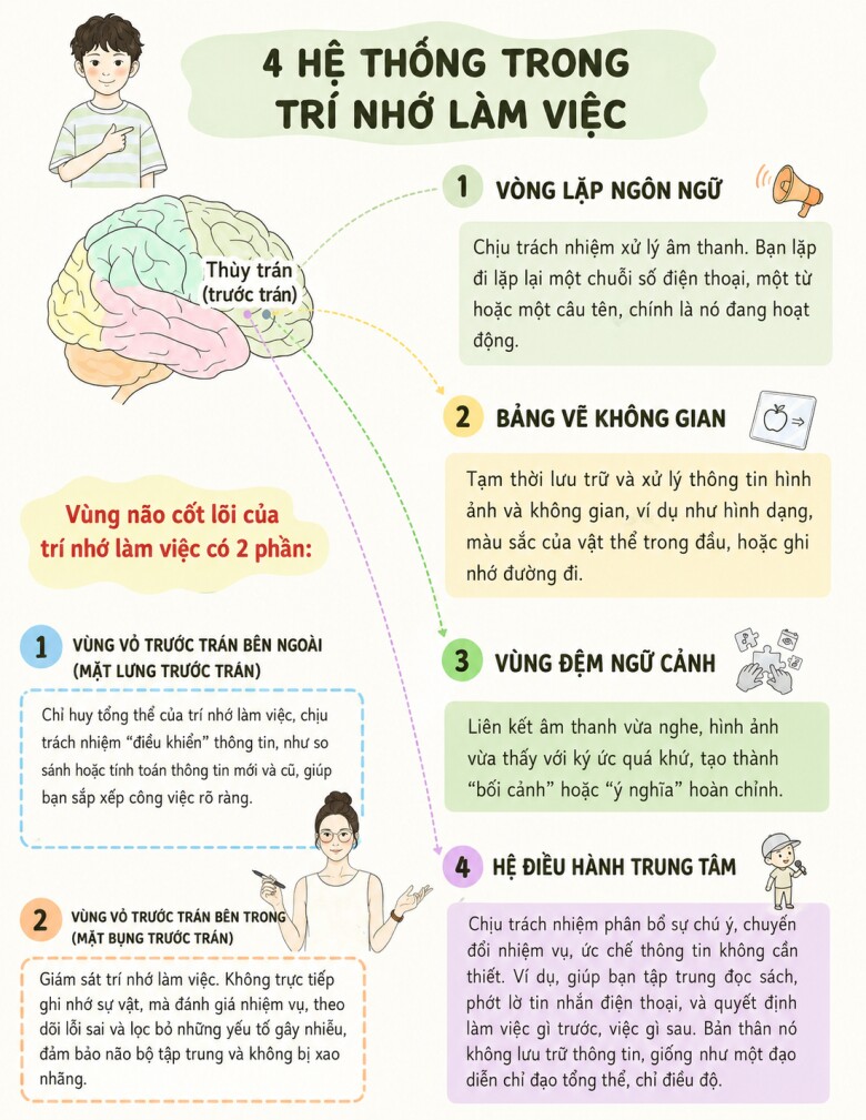 6 cách giúp trẻ nhớ nhanh, học đâu hiểu đó - 3