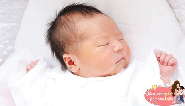 Nếu tr&aacute;n của trẻ đầy c&oacute; nghĩa l&agrave; vỏ n&atilde;o trước tr&aacute;n tương đối ph&aacute;t triển, chỉ số IQ tương đối cao.