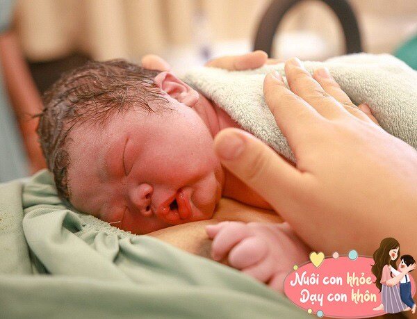 Nhiều nghi&ecirc;n cứu chứng minh, thời điểm được sinh ra cũng c&oacute; ảnh hưởng đến tr&iacute; th&ocirc;ng minh của trẻ. 